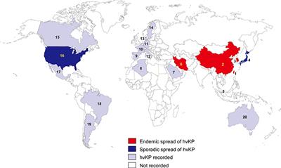 Antimicrobial Resistance of Hypervirulent Klebsiella pneumoniae: Epidemiology, Hypervirulence-Associated Determinants, and Resistance Mechanisms